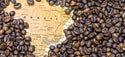 Brazilian Arabica (Medium)