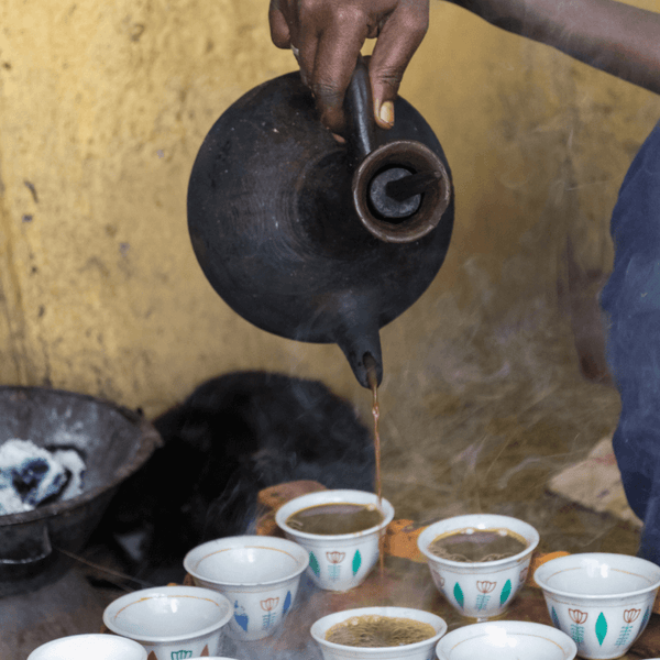 Honduran - Fresh Roasted