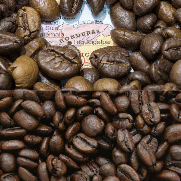 Honduran - Fresh Roasted