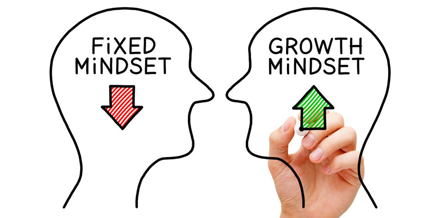 Fixed and growth mindset