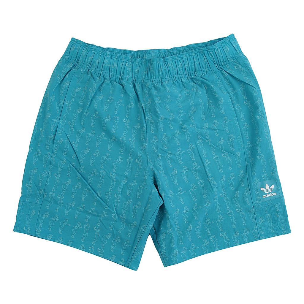 adidas skateboarding shorts