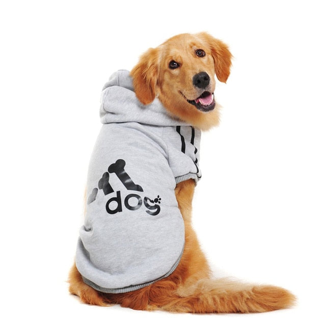 dog adidas hoodie