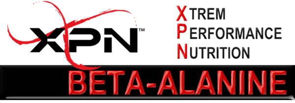 XPN BEST BETA ALANINE