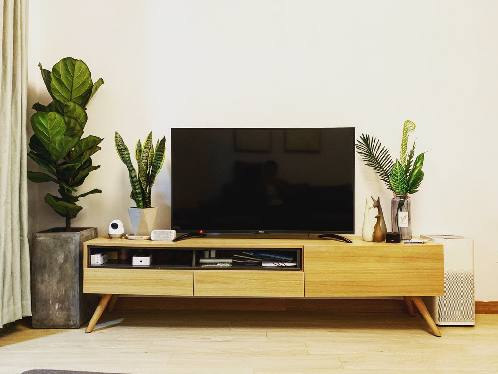 TV sitting on modern wooden TV stand surrounded by green plants