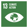 13. SDGs Karün blog USA