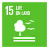15. SDGs Karün blog USA