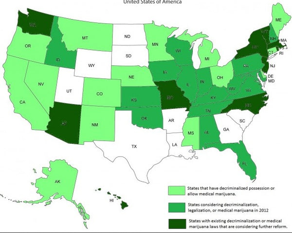 Hoodie Goodies- Understanding Washington DC Cannabis US Marijuana Legalization Chart