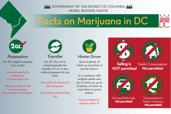 Hoodie Goodies- Understanding Washington DC Cannabis- Infograph on DC Weed Laws 