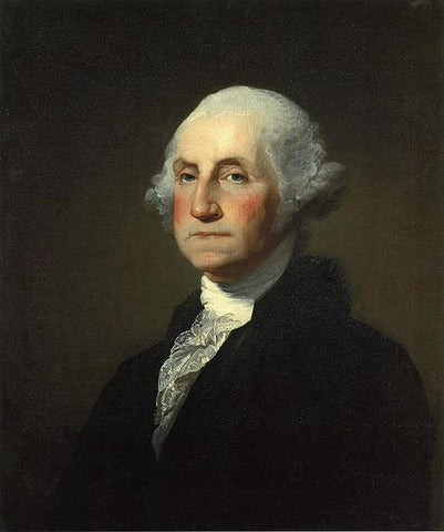 Hoodie Goodies, Washington D.C, Virginia, DMV, Maryland, D.C Statehood, George Washington, Founding Fathers, 51st State