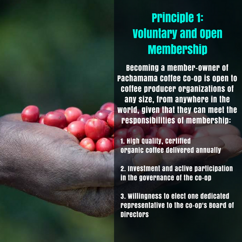 Principle 1: Voluntary and Open Membership