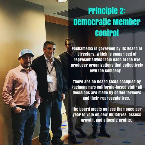 Principle 2: Democratic Member Control