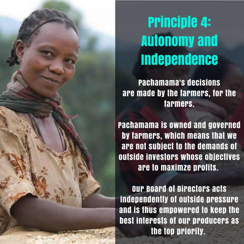 Principle 4: Autonomy and Independence