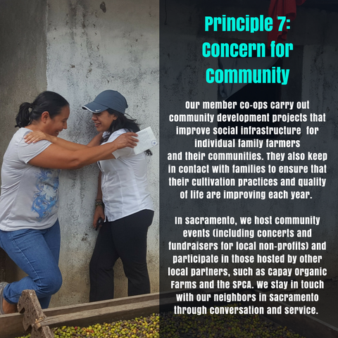 Principle 7: Concern for the Community