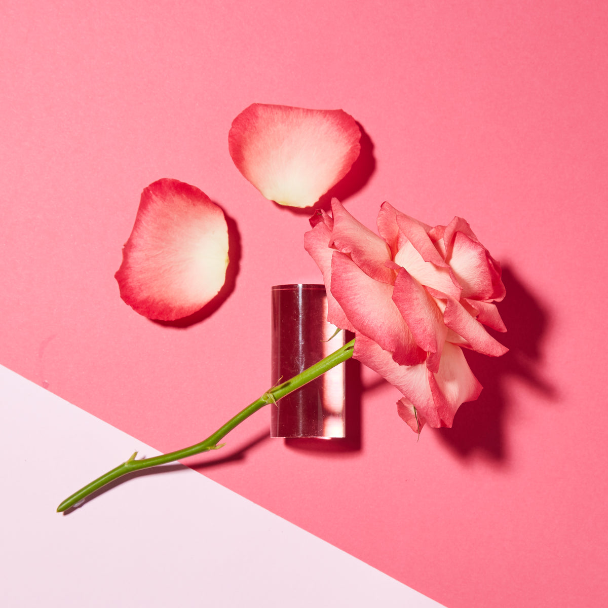 1000 Roses Complex Colour Care Shampoo