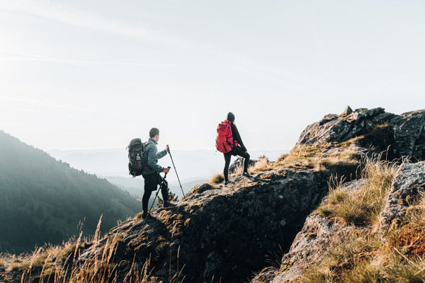 How to choose the perfect walking stick for your next hike?