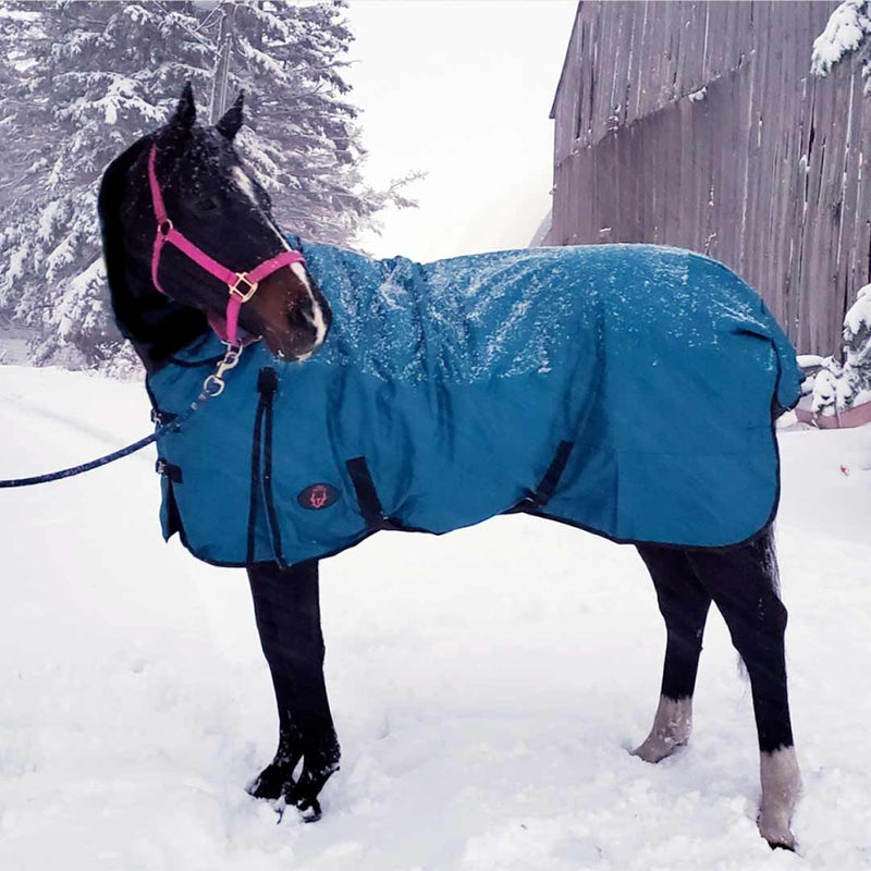 Tech Equestrian Rain Sheet with Detachable Neck