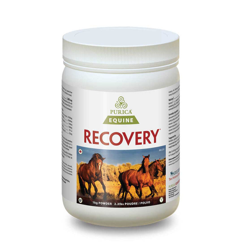 Purica Equine Recovery Regular Strength