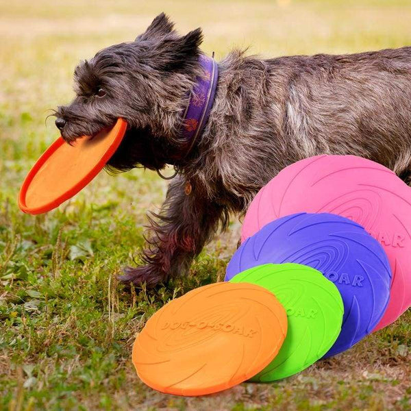 dog friendly frisbee