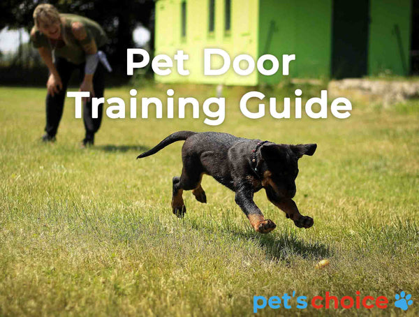 Pet door training guide