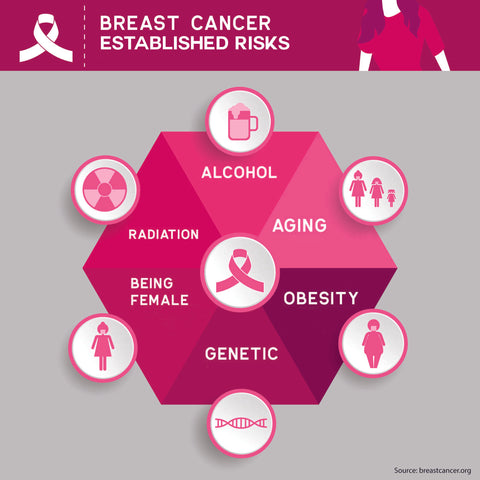 established-risks-of-breast-cancer | Virtail