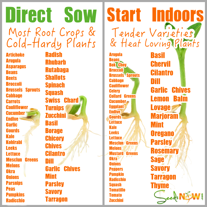 Sow Chart