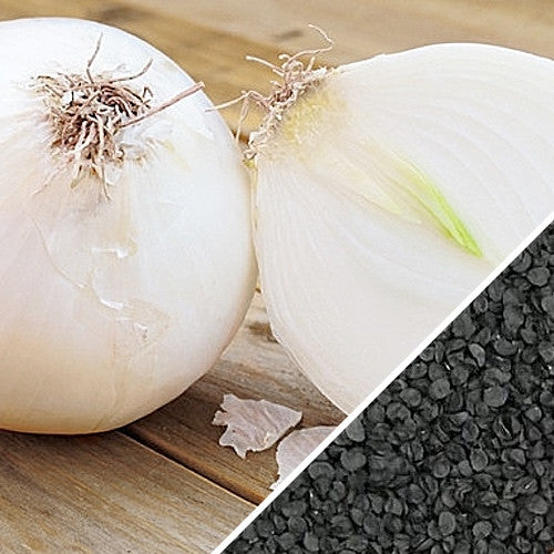 Onion - White Sweet Spanish