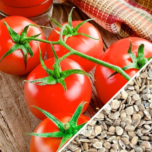 100 Pcs Seeds Giant Tomato Beefsteak Heirloom Organic Fresh Vegetables Garden 
