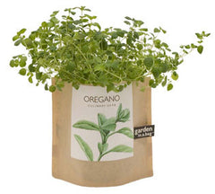 Oregano Garden-in-a-Bag