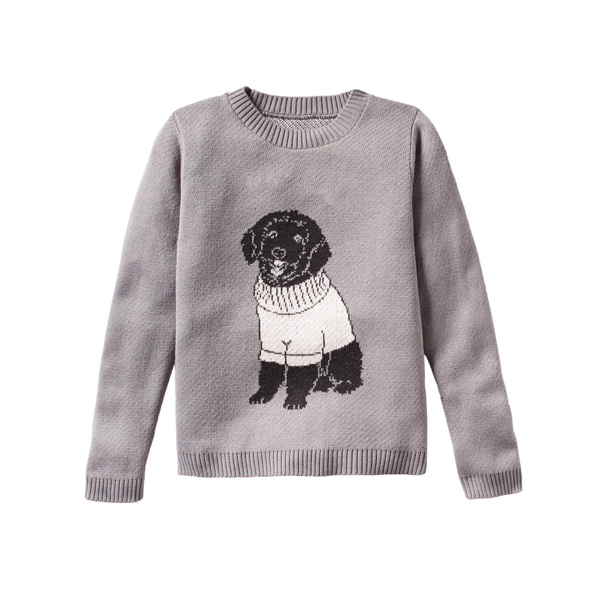 Dog Wearing Sweater - Custom Knitted 