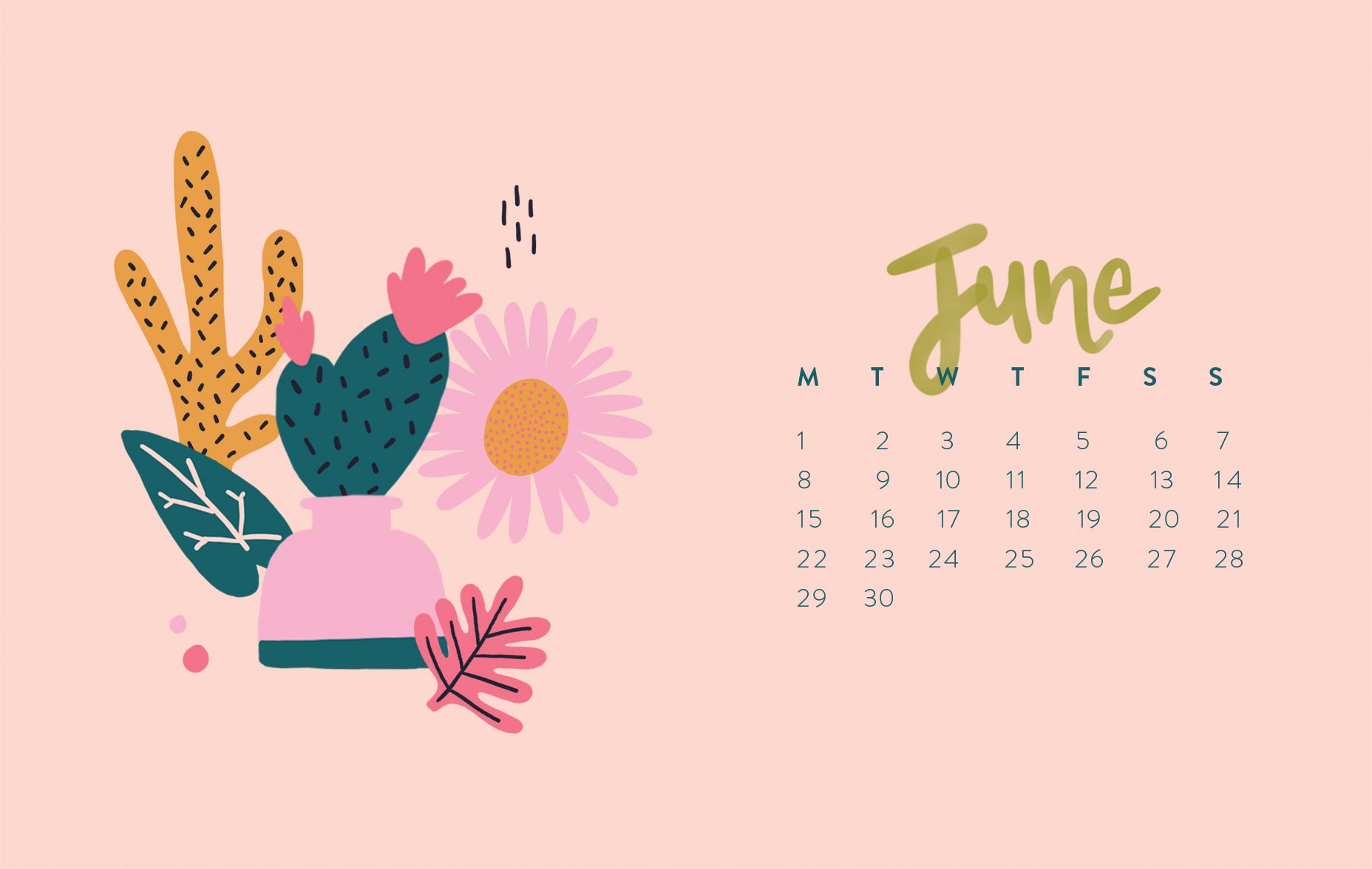 June Cacti Calendar Desktop Wallpaper Raspberry Blossom