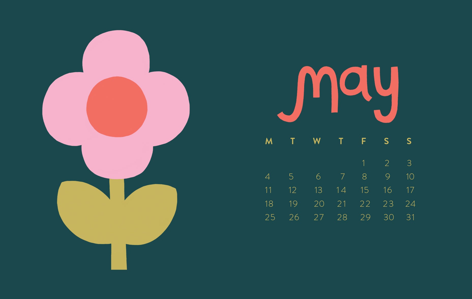 May Daisy Calendar Free HD desktop wallpaper download | Raspberry Blossom