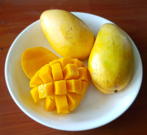 Savoring Mango During summer vacation 