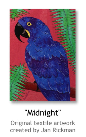 Midnight Macaw Parrot by Jan Rickman 