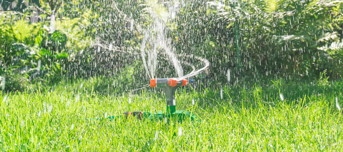 Water sprayer spraying water over a lush lawn