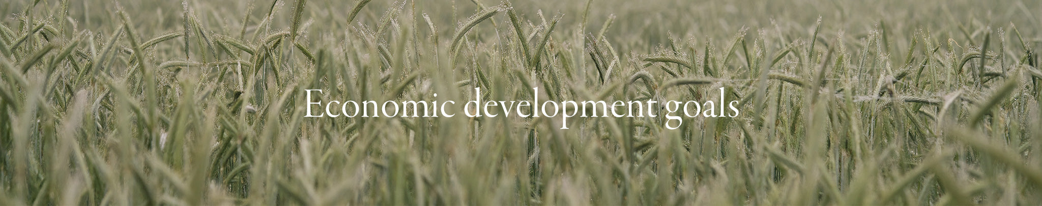 Economic development goals