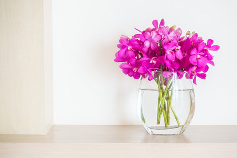 Alstromeria in a Vase