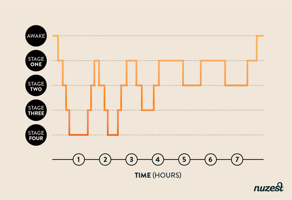 sleep graph