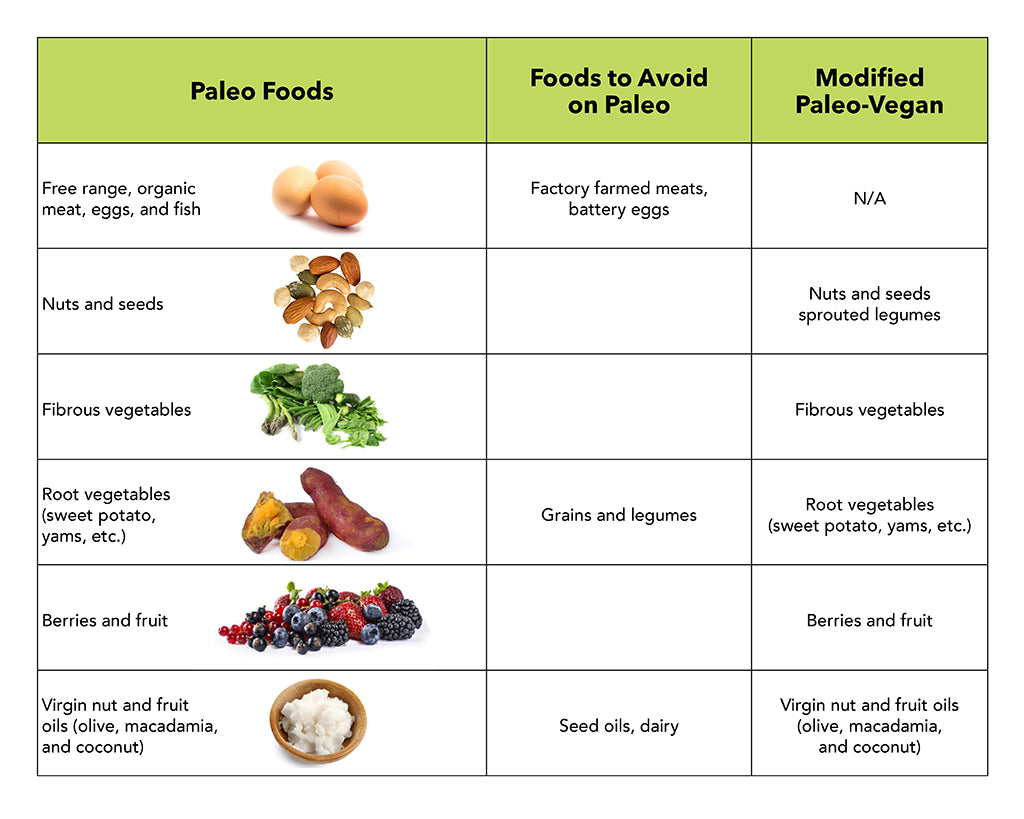 paleo food chart