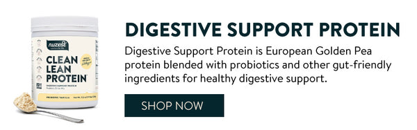 digestive support protein