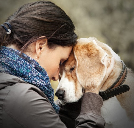 is align probiotic safe for dogs