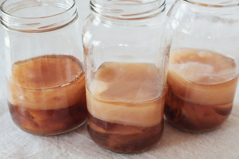 Scoby