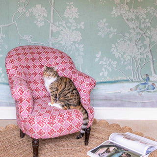 Molly Mahon Pattee pink design upholstered on an armchair sat in front a lovely wallpaper design and a token cat sitting on it