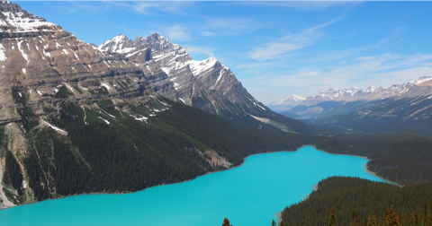 Peyto Lake in Banff Canada, Instagram-Worthy Glacial Lakes in Alberta