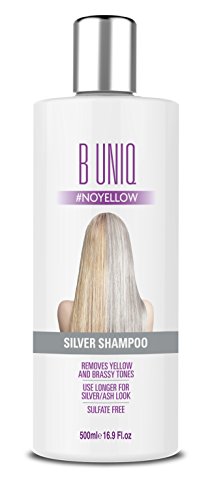 Silver Shampoo By B Uniq Purple Toning Shampoo For Silver And