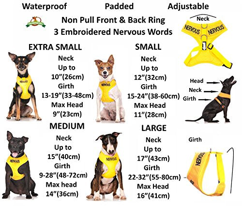 XS DO NOT PET Red Colour Coded Non-Pull Front and Back D Ring Padded and Waterproof Vest Dog Harness PREVENTS Accidents By Warning Others Of Your Dog In Advance