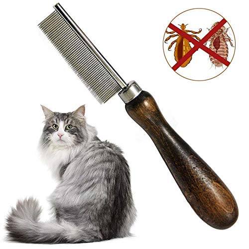 pet grooming flea removal