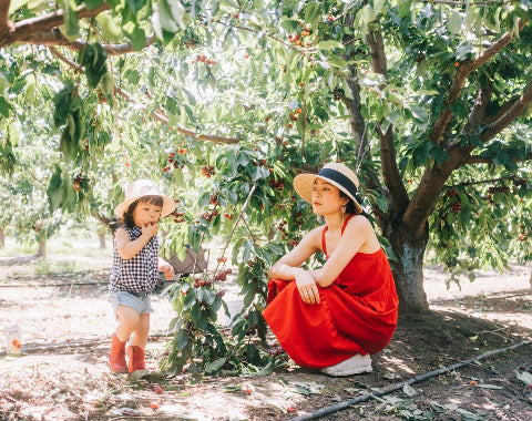 Mom and Daughter Picking