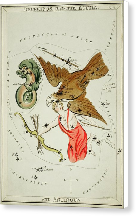 astronomy vintage bird