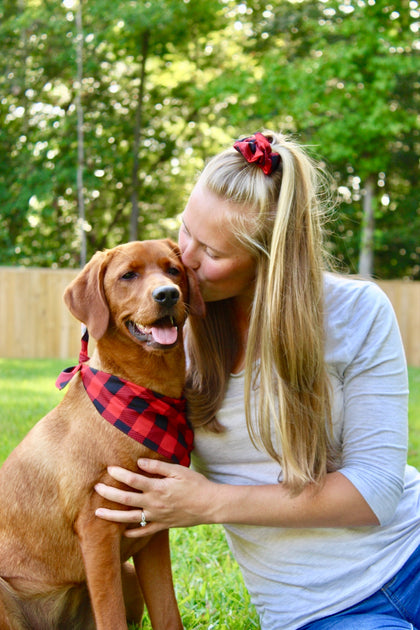 Matching dog bandana and headband