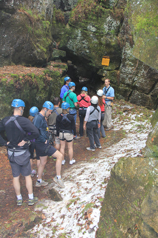 Eco Tour Adventure - Caves and Caverns - Scenic Caves Nature Adventures - Collingwood